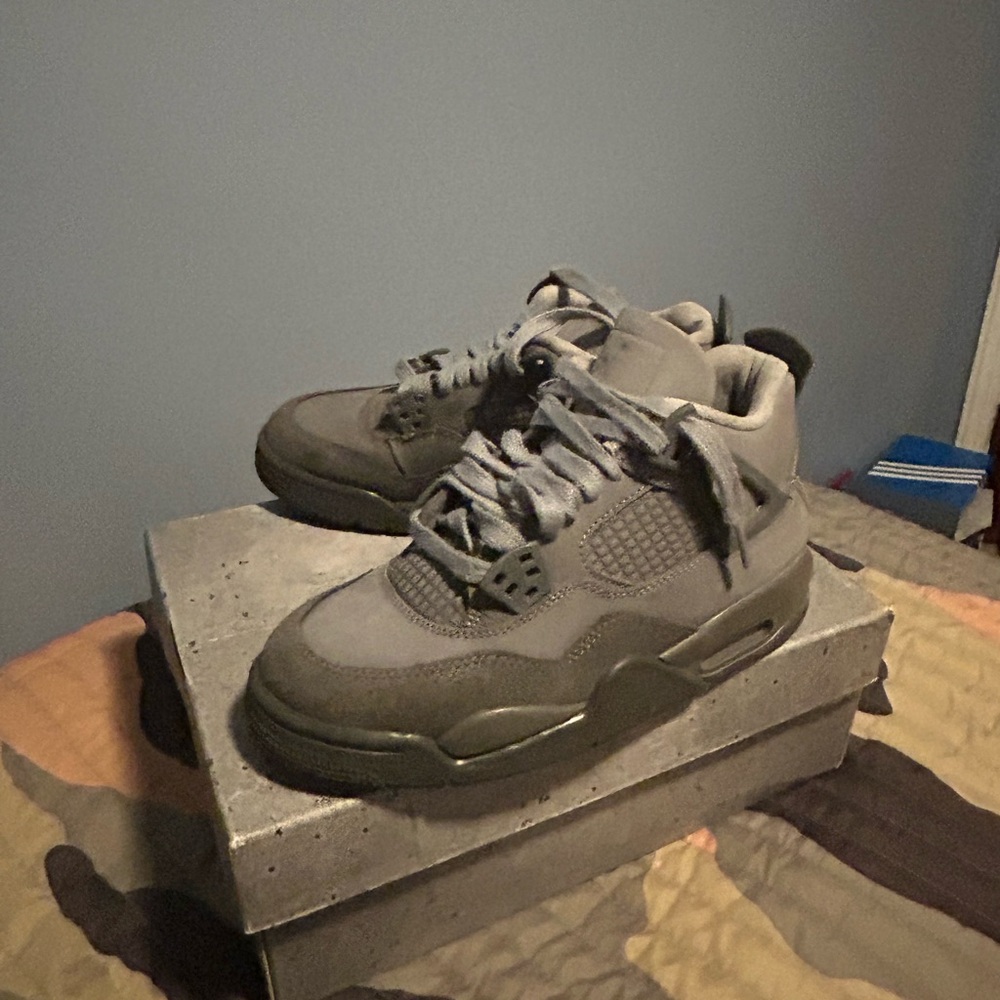 Jordan 4s